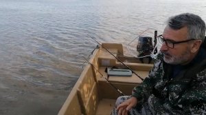 Судак, как и на что ловить на Бахтемире.