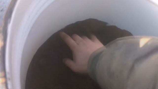 Люди активизировались брать биогумус на рассаду! People take vermicompost seedlings! смотреть онлайн