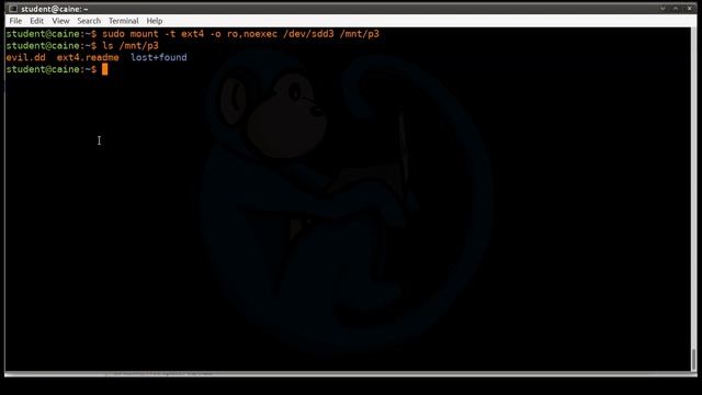 mounting and unmounting disks/partitions - Linux Command Line tutorial for forensics - 15 смотреть онлайн