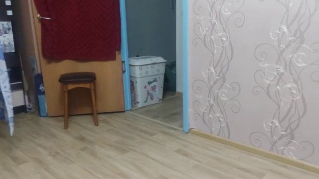 Слепой кот ударился смотреть онлайн
