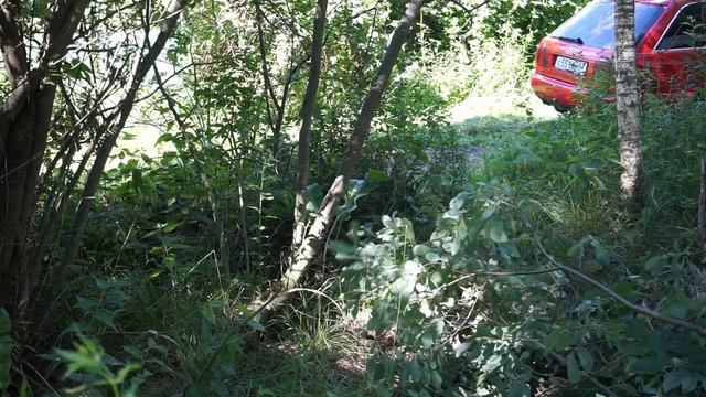 Расчищаем заброшенный дачный участок/Покупки в Леруа/подарки для дачи от родственников/делаем туале смотреть онлайн