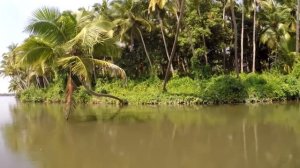 ЛОВЛЯ КРАБОВ В ГОА.