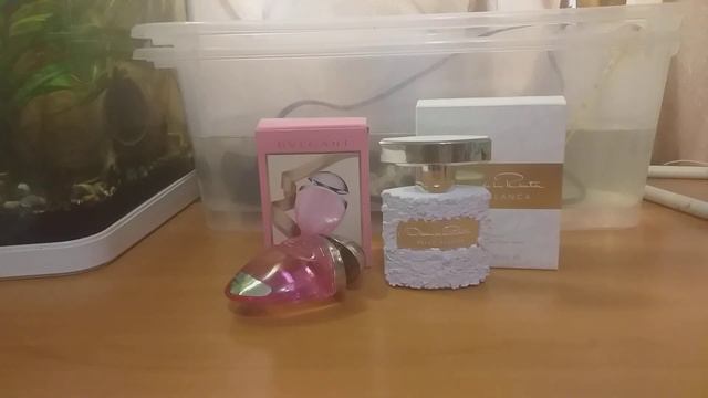 Покупки парфюма и косметика Dior. смотреть онлайн