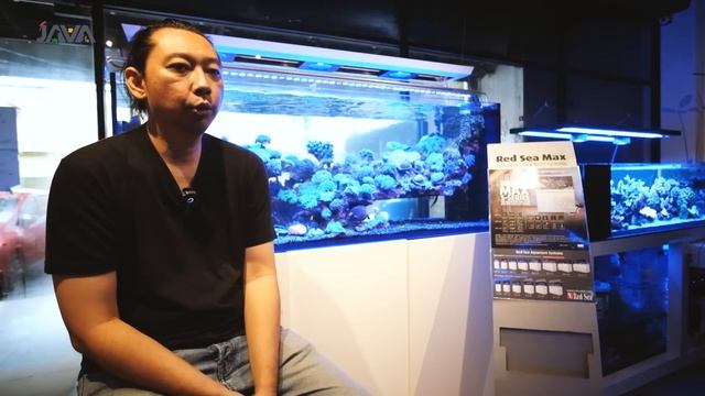 7 ALAT PENTING UNTUK MEMULAI REEFTANK VERSI JAVA REEF смотреть онлайн