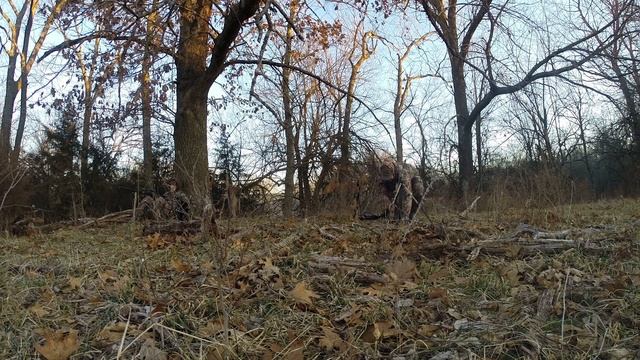 FBO-COYOTE CALLING - Quick Hunt 1. 23. 21 смотреть онлайн