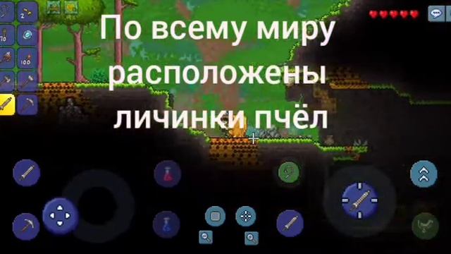 Самые необычные сиды в Террарии. Секретные сиды Террарии