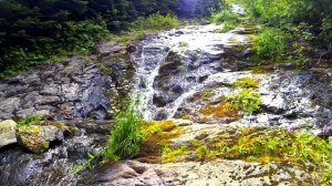 Tinnitus Music Therapy, Best Tinnitus Sound Generator