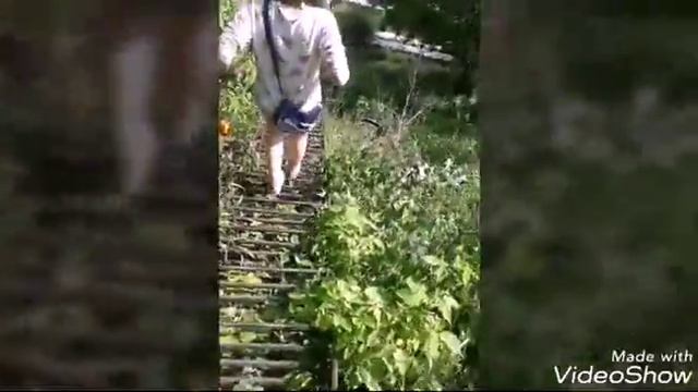 Трэш/круто / красивый вид смотреть онлайн