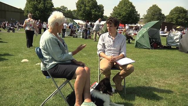 Border Collie - Bests of Breed смотреть онлайн