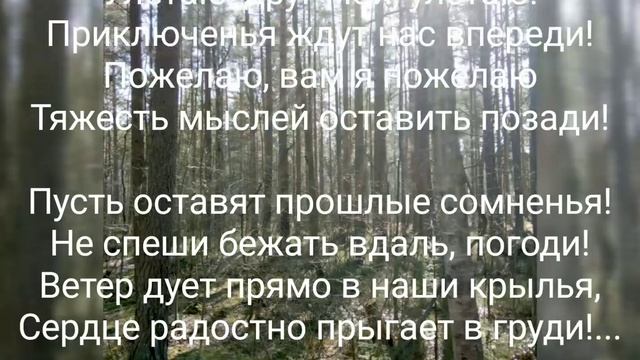 Улетаю, друг мой, улетаю...#стихи #юмор #мишаинжелант #mihailmvppopov #mishaingelant смотреть онлайн