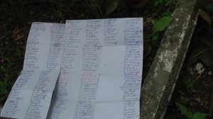 Остров Залит. Старец НИКОЛАЙ ГУРЬЯНОВ.