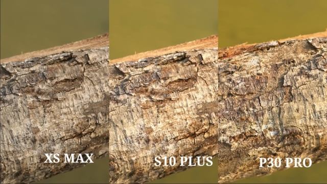 Huawei P30 Pro vs Samsung Galaxy S10 Plus vs iPhone XS Max Camera Test Comparison смотреть онлайн