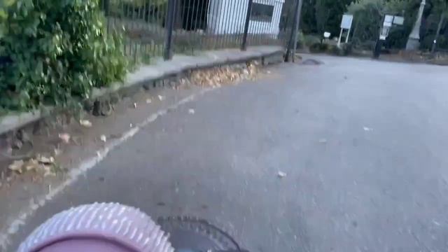 Собака вместо электроколяски Прикол смотреть онлайн
