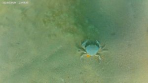 Наш отдых в Анапе. Отель Morea family and SPA. Часть 2