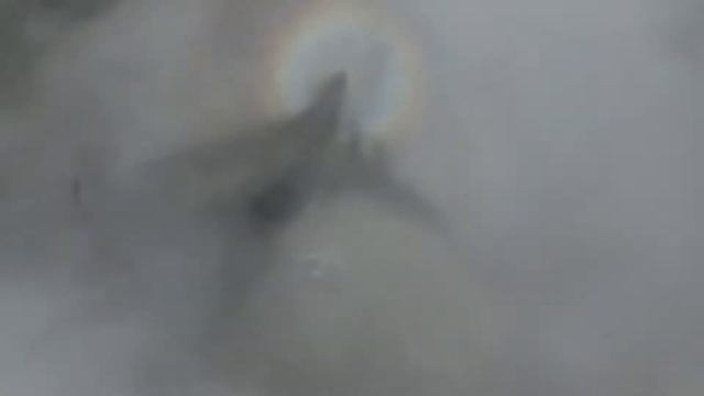 Душа на двоих смотреть онлайн