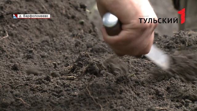 Репортаж о работе археологов музея-заповедника на городище у деревни Кетри смотреть онлайн