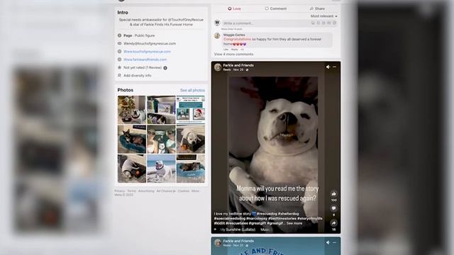 Farkle and Friends book series смотреть онлайн