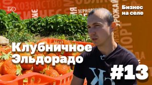 Бизнес на селе #13 | Клубничное Эльдорадо в Сабинском районе