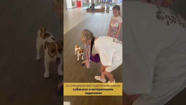 DogКвест в ТРЦ "Бутово Молл" смотреть онлайн