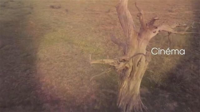 Презентационнное видео от французской студии Live Drone смотреть онлайн