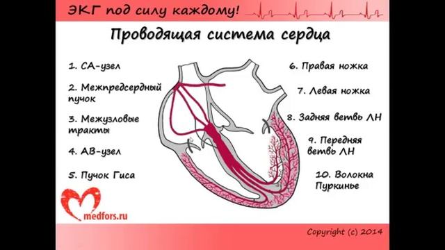 Урок 1. Видеокурс 