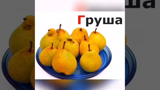 516 ГДОО. ТЕМА: «АРТИКУЛЯЦИЯ ЗВУКОВ» ДЕФЕКТОЛОГ - ЛОГОПЕД - ПСИХОЛОГ: РУСТАМОВА С.Ш. ТЕЛ: 94.692888 смотреть онлайн