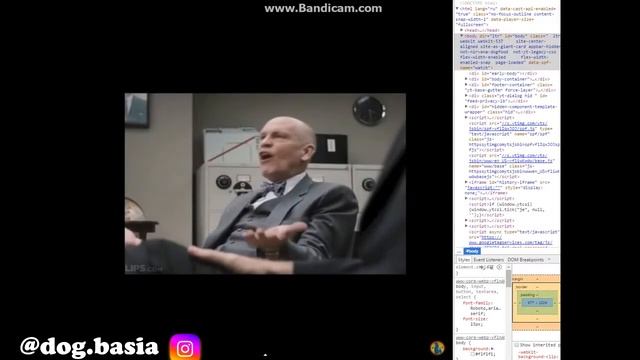 БАСЯ - ЗВЕЗДА ИНСТАГАРАМА // ЙОРКШИРСКИЙ ТЕРЬЕР смотреть онлайн