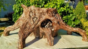 Вазон из цемента Пень-коряга своими руками.  Поделки из цемента