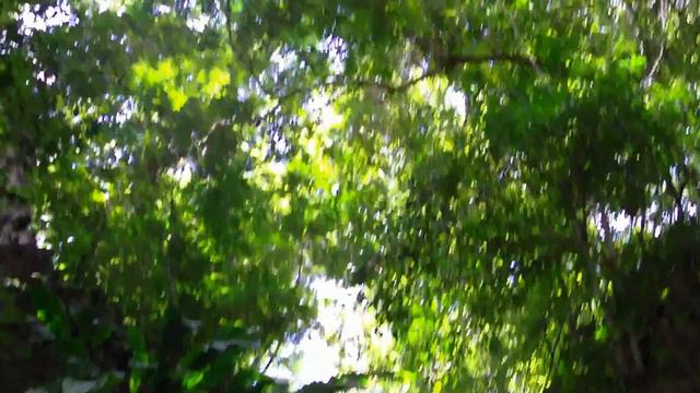 Salto El Merecure, Parroquia San Rafael de Orituco, Municipio Jose Tadeo Monagas, Guarico смотреть онлайн