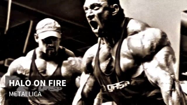 ROCK & HEAVY METAL PLAYLIST | PARA TREINAR смотреть онлайн