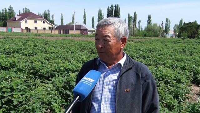 КАК ОБОГОТИТЬ ПАХОТНЫЕ ЗЕМЛИ смотреть онлайн