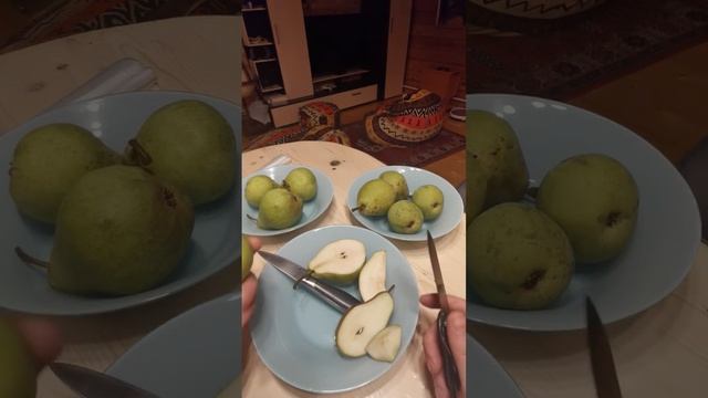 Дегустация груш - Просто Мария, Память Жегалова, Талгарская Красавица Ленобл 05.10.2022 смотреть онлайн