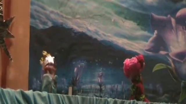 Кукольный спектакль "Маленький принц" г Данков школа интернат №1 VIII вида смотреть онлайн