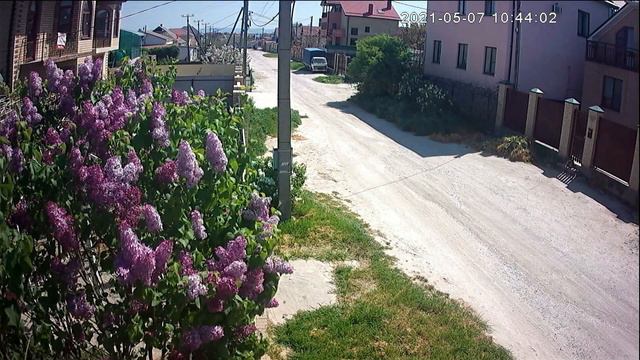 Сирень смотреть онлайн