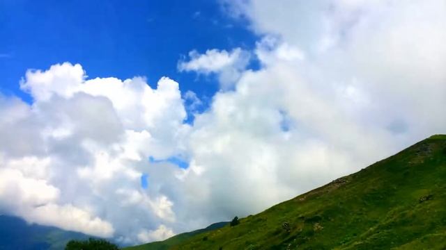 Роза ветров наглядно смотреть онлайн