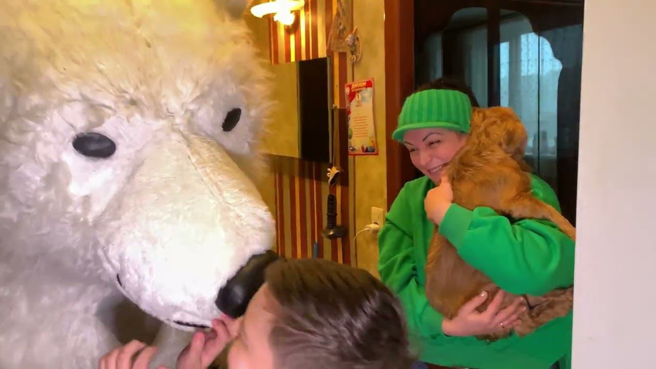 Белый мишка зашел в квартиру смотреть онлайн