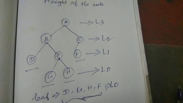 Height of the node | for special frd смотреть онлайн