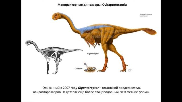 Происхождение и ранняя эволюция птиц. Научно-популярная лекция. смотреть онлайн