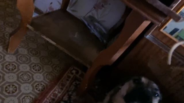 Рождественский сыр 🧀 смотреть онлайн
