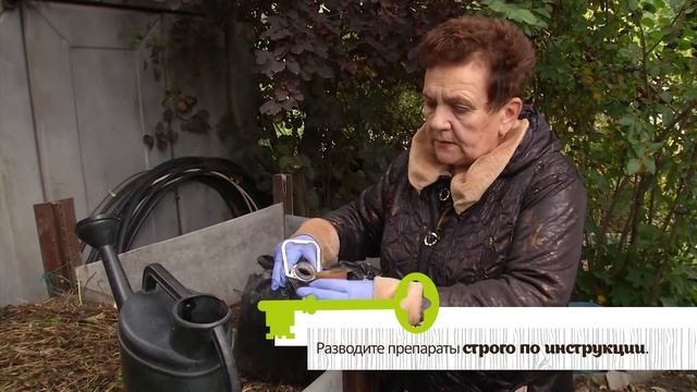 ДЕЛАЕМ КОМПОСТ ЗА СЕЗОН. Секретная добавка в компостную кучу смотреть онлайн