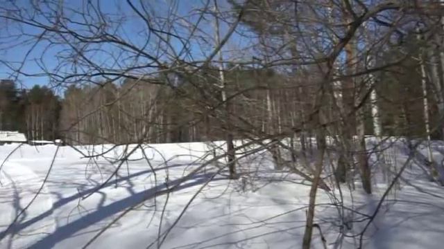 Обь-Енисейский канал "МАРТОВСКИЕ ЗАРИСОВКИ" смотреть онлайн