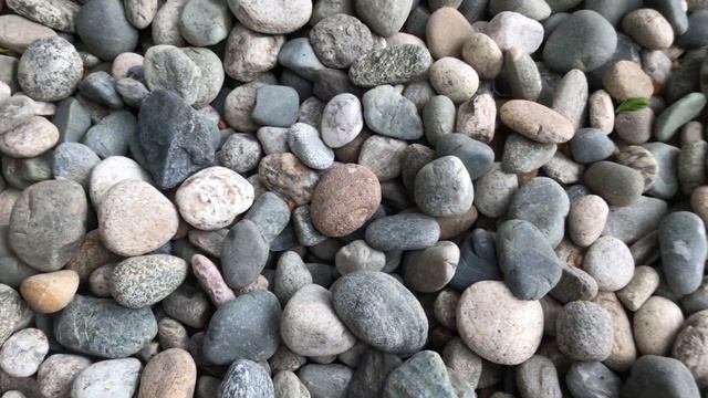 2020-05-28 Обзор участков ландшафтного дизайна на территории дома