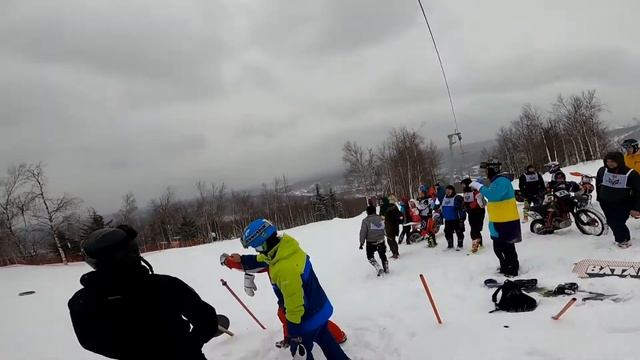 Губаха Royal race смотреть онлайн