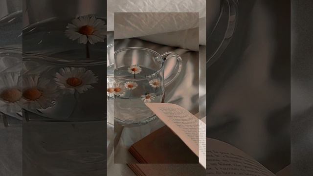 Rom - Ромашки {speed up}🌼 смотреть онлайн