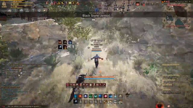 17.5 Million an Hour - Rogues - What Its Worth - Black Desert Online смотреть онлайн