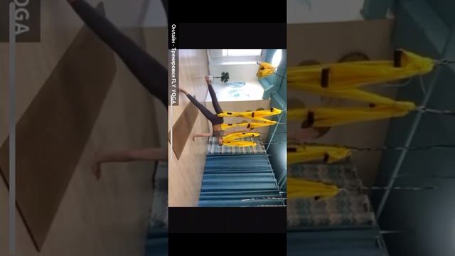 Flow смотреть онлайн