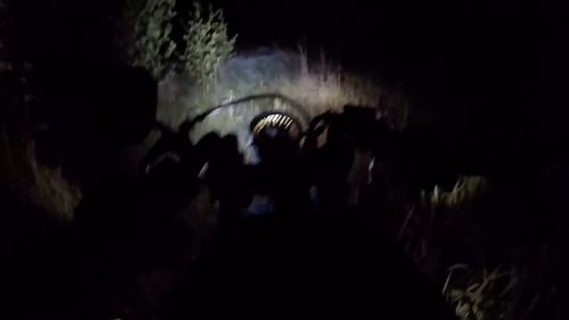 Один ночью в лесу | Страх и паника смотреть онлайн