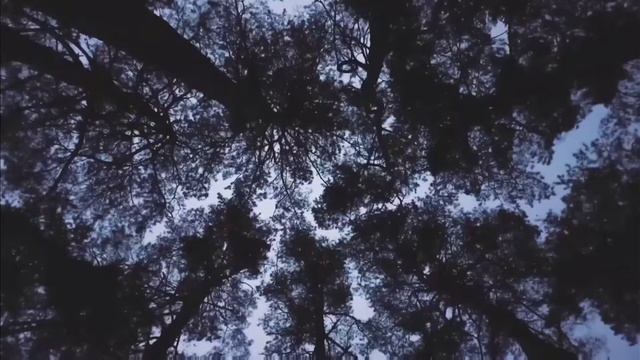 Changes XXX Tentation .. violin version смотреть онлайн