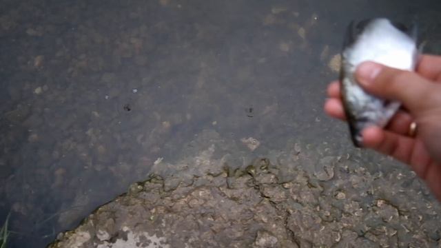 На крючке!!!