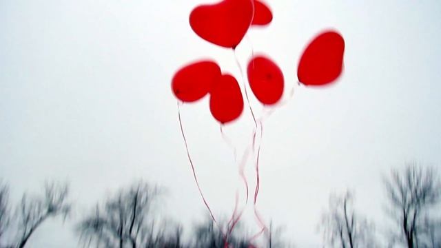 подарок преподавателю! студия тв-журналистики, 2016. смотреть онлайн